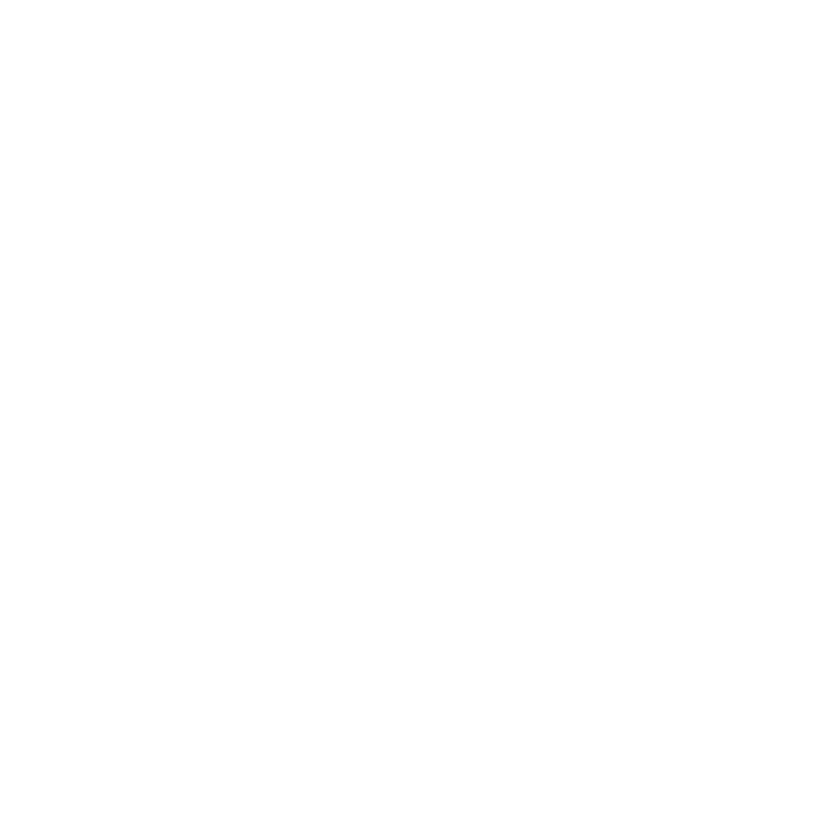 Light Bulb Icon