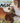 Magic: The Gathering - Standard