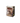 Dragon Shield Card Sleeves - Flesh and Blood (Matte Art)
